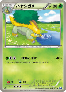 ハヤシガメ（BW7-B 002/070）