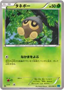 タネボー（XY2 005/080）