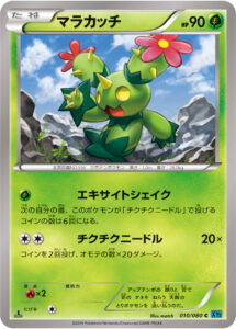 マラカッチ（XY2 010/080）